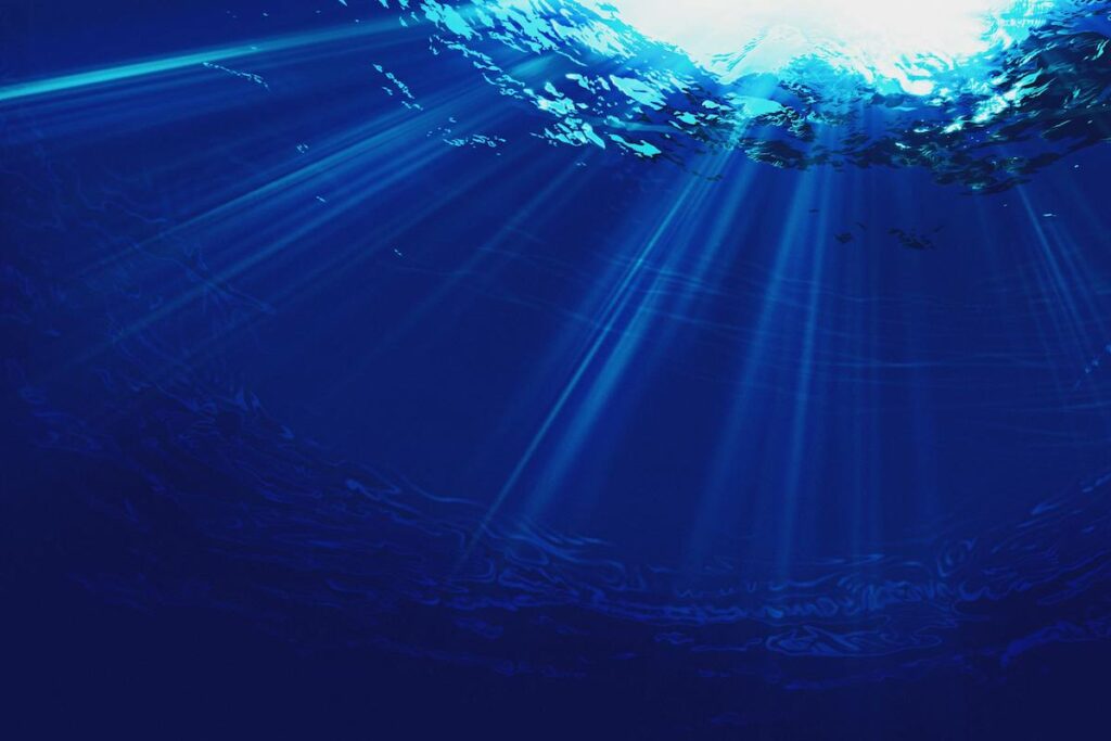 What can I do for World Oceans Day